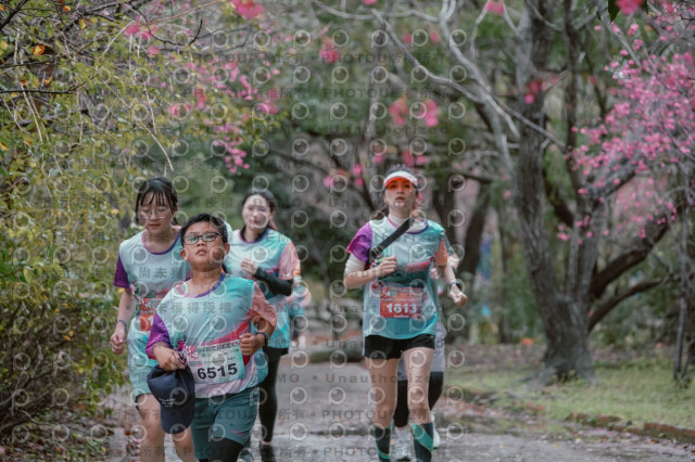 2026左岸竹東櫻花馬拉松Zhudong Sakura Marathon