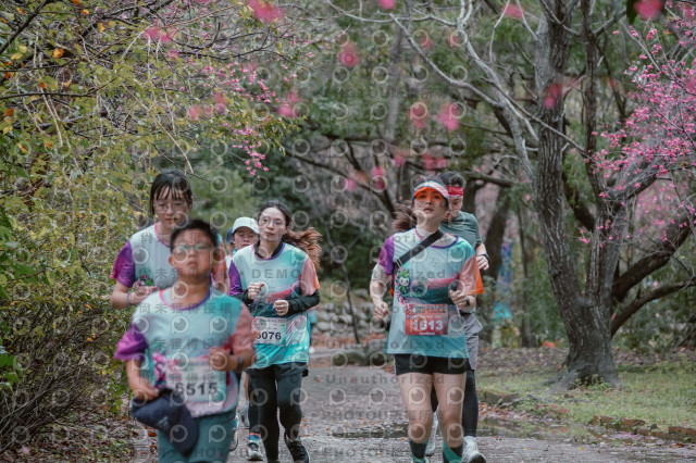 2026左岸竹東櫻花馬拉松Zhudong Sakura Marathon