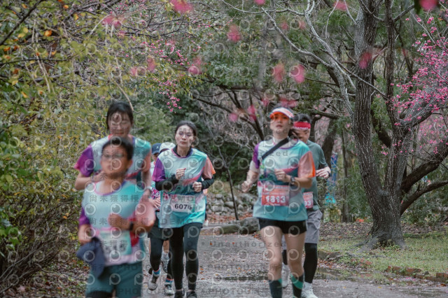 2026左岸竹東櫻花馬拉松Zhudong Sakura Marathon