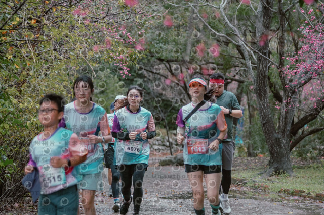 2026左岸竹東櫻花馬拉松Zhudong Sakura Marathon