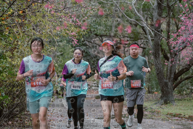 2026左岸竹東櫻花馬拉松Zhudong Sakura Marathon
