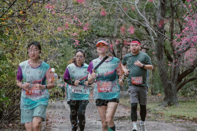 2026左岸竹東櫻花馬拉松Zhudong Sakura Marathon