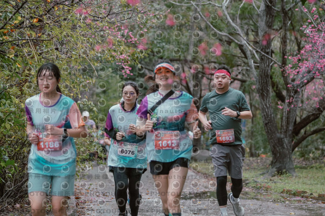 2026左岸竹東櫻花馬拉松Zhudong Sakura Marathon