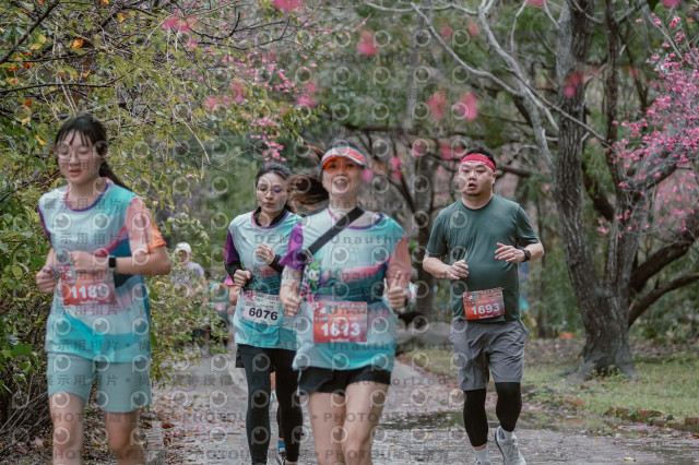 2026左岸竹東櫻花馬拉松Zhudong Sakura Marathon