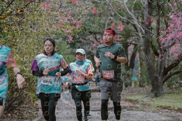 2026左岸竹東櫻花馬拉松Zhudong Sakura Marathon