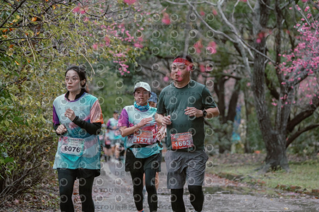 2026左岸竹東櫻花馬拉松Zhudong Sakura Marathon
