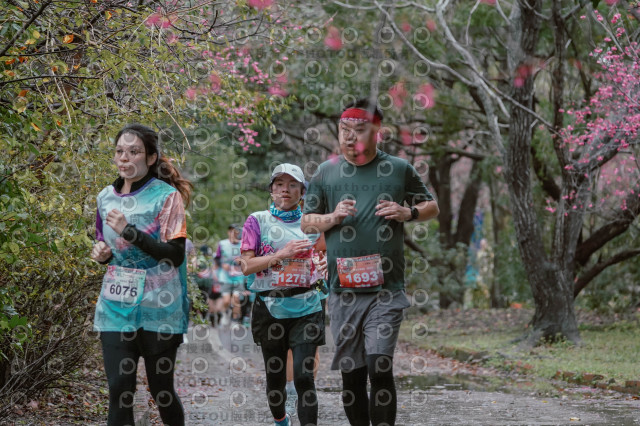 2026左岸竹東櫻花馬拉松Zhudong Sakura Marathon