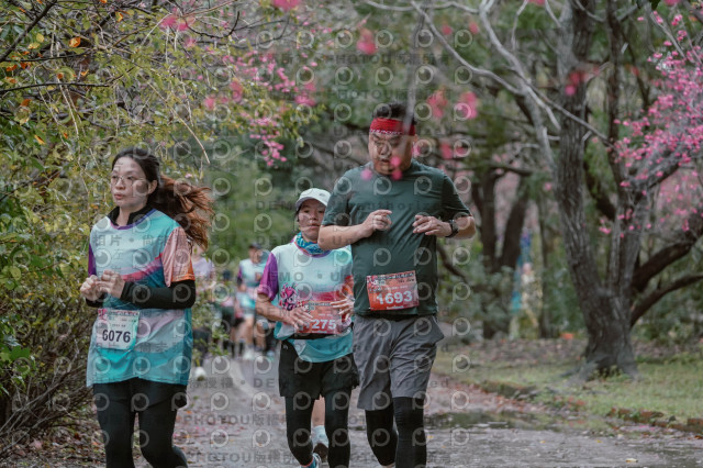 2026左岸竹東櫻花馬拉松Zhudong Sakura Marathon