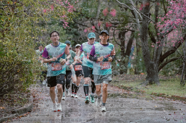 2026左岸竹東櫻花馬拉松Zhudong Sakura Marathon