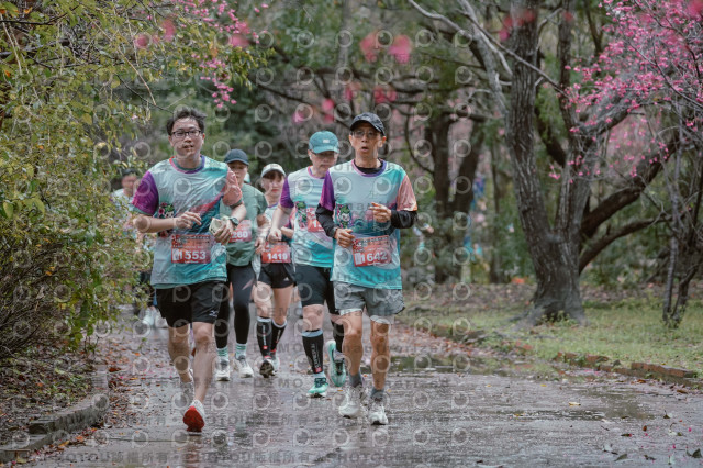 2026左岸竹東櫻花馬拉松Zhudong Sakura Marathon