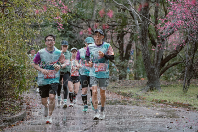 2026左岸竹東櫻花馬拉松Zhudong Sakura Marathon