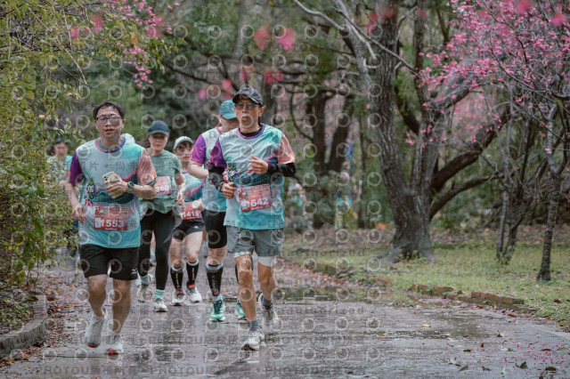 2026左岸竹東櫻花馬拉松Zhudong Sakura Marathon