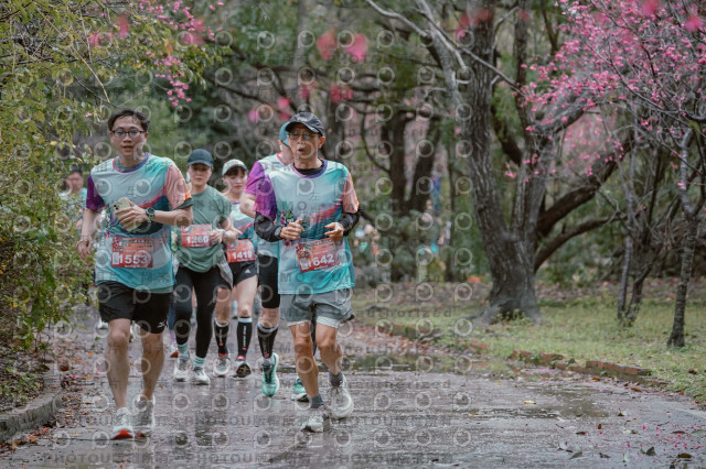 2026左岸竹東櫻花馬拉松Zhudong Sakura Marathon