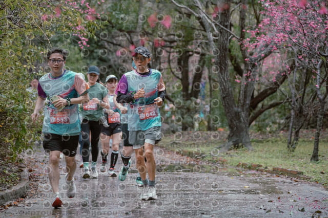2026左岸竹東櫻花馬拉松Zhudong Sakura Marathon