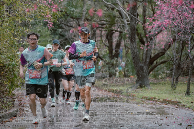2026左岸竹東櫻花馬拉松Zhudong Sakura Marathon