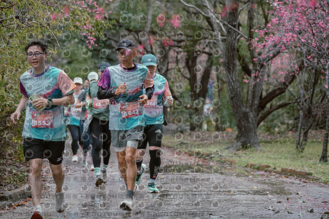 2026左岸竹東櫻花馬拉松Zhudong Sakura Marathon