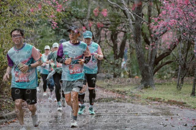 2026左岸竹東櫻花馬拉松Zhudong Sakura Marathon
