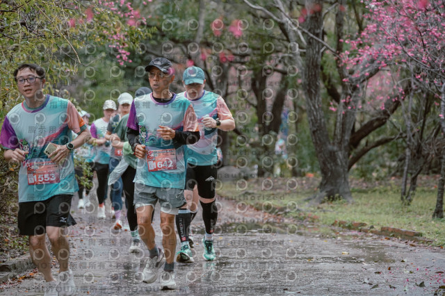 2026左岸竹東櫻花馬拉松Zhudong Sakura Marathon