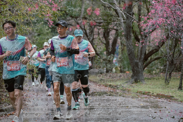 2026左岸竹東櫻花馬拉松Zhudong Sakura Marathon