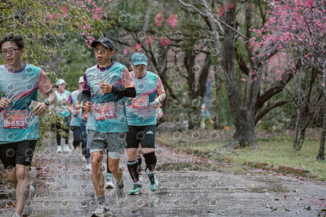 2026左岸竹東櫻花馬拉松Zhudong Sakura Marathon