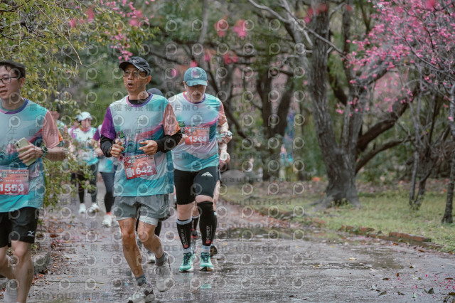 2026左岸竹東櫻花馬拉松Zhudong Sakura Marathon