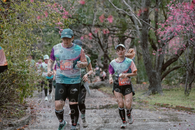 2026左岸竹東櫻花馬拉松Zhudong Sakura Marathon