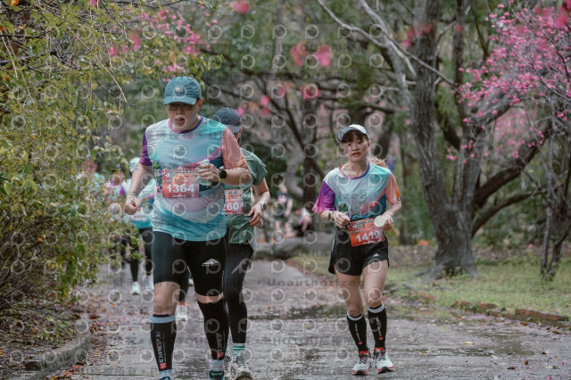 2026左岸竹東櫻花馬拉松Zhudong Sakura Marathon