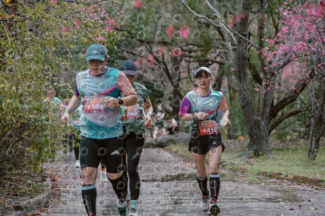 2026左岸竹東櫻花馬拉松Zhudong Sakura Marathon