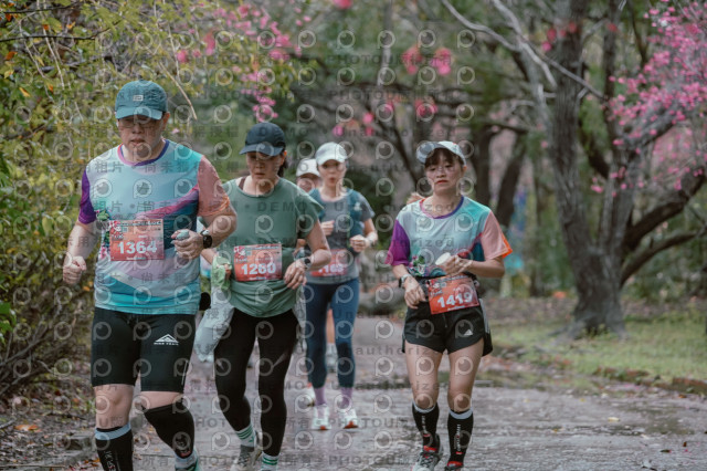 2026左岸竹東櫻花馬拉松Zhudong Sakura Marathon