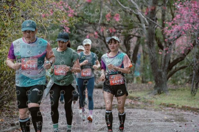 2026左岸竹東櫻花馬拉松Zhudong Sakura Marathon