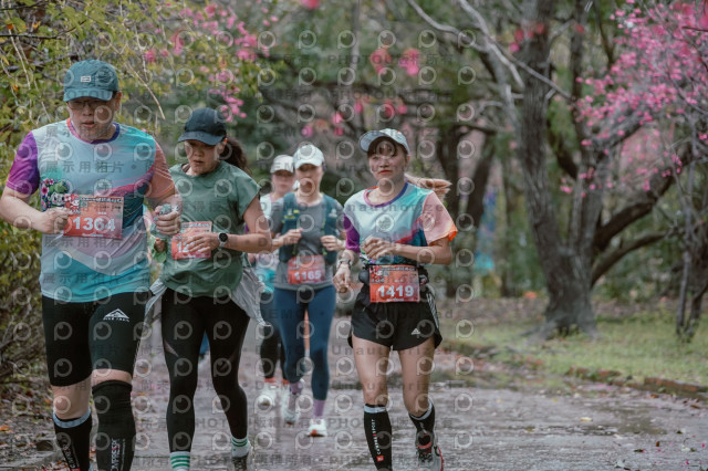 2026左岸竹東櫻花馬拉松Zhudong Sakura Marathon