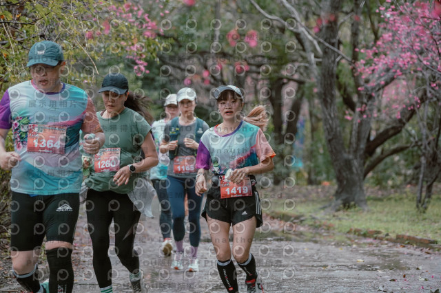 2026左岸竹東櫻花馬拉松Zhudong Sakura Marathon