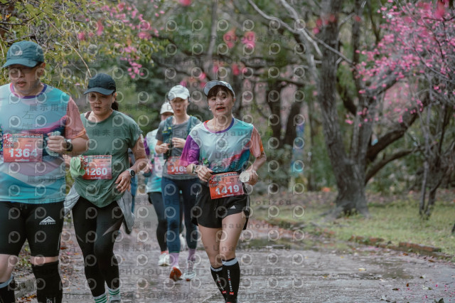 2026左岸竹東櫻花馬拉松Zhudong Sakura Marathon