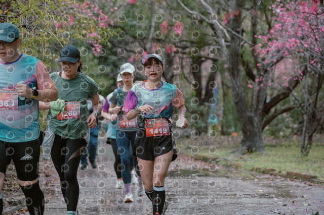 2026左岸竹東櫻花馬拉松Zhudong Sakura Marathon