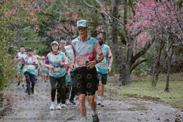 2026左岸竹東櫻花馬拉松Zhudong Sakura Marathon
