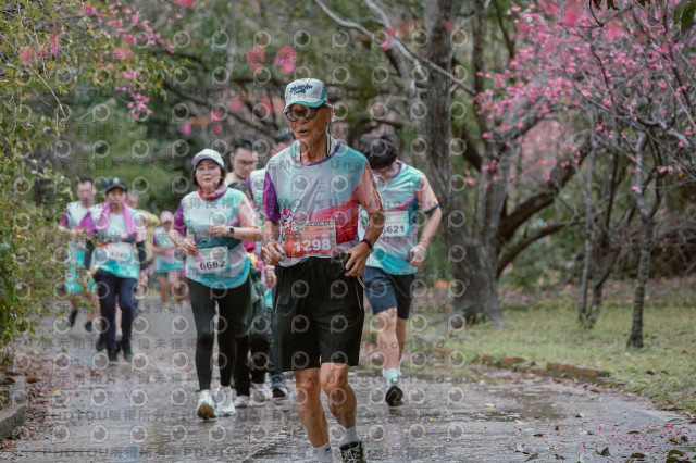 2026左岸竹東櫻花馬拉松Zhudong Sakura Marathon