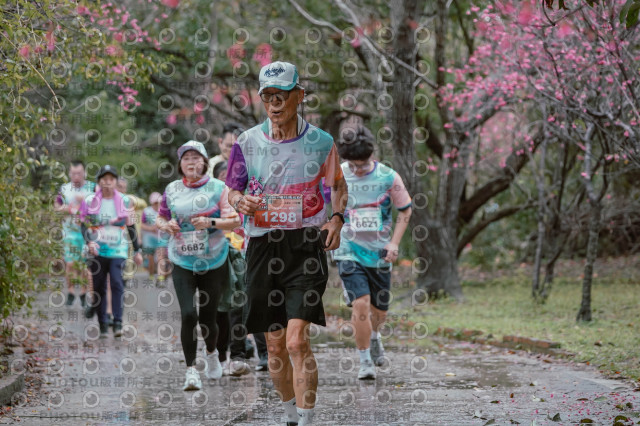 2026左岸竹東櫻花馬拉松Zhudong Sakura Marathon