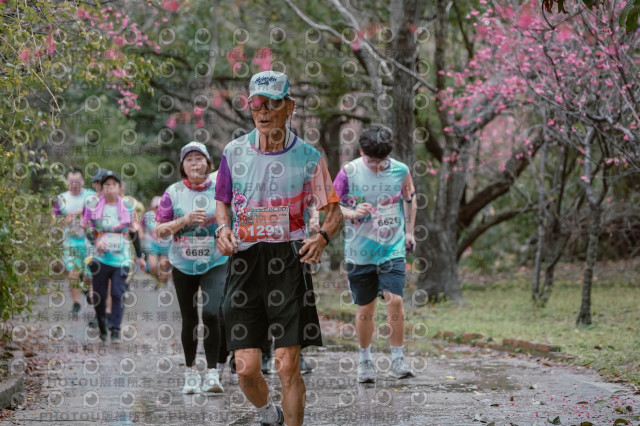 2026左岸竹東櫻花馬拉松Zhudong Sakura Marathon