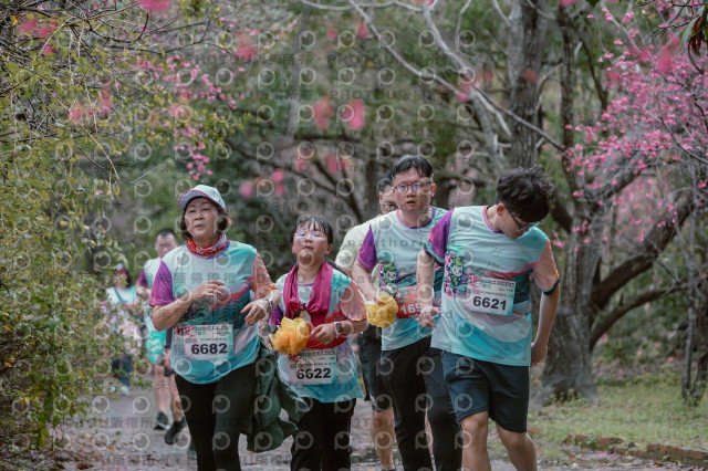 2026左岸竹東櫻花馬拉松Zhudong Sakura Marathon
