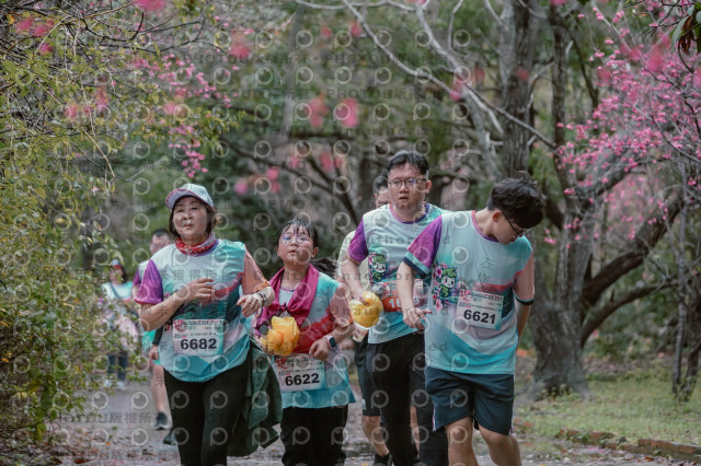 2026左岸竹東櫻花馬拉松Zhudong Sakura Marathon
