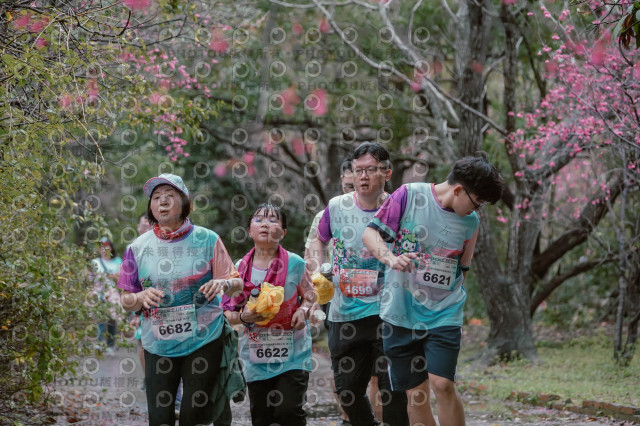 2026左岸竹東櫻花馬拉松Zhudong Sakura Marathon