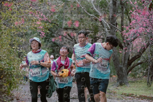 2026左岸竹東櫻花馬拉松Zhudong Sakura Marathon
