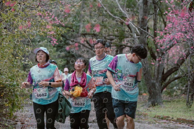 2026左岸竹東櫻花馬拉松Zhudong Sakura Marathon