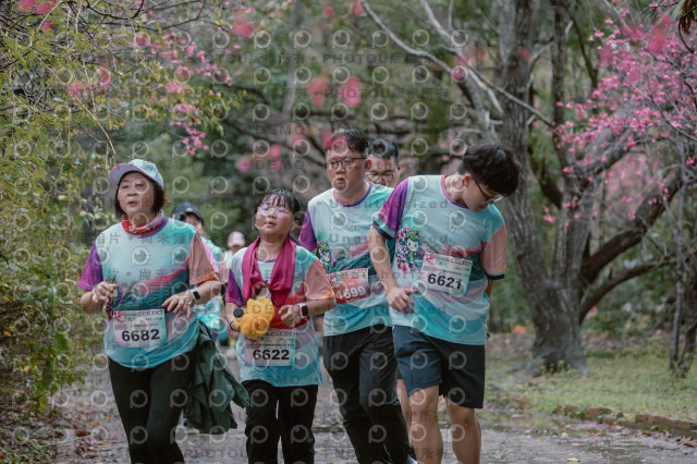 2026左岸竹東櫻花馬拉松Zhudong Sakura Marathon
