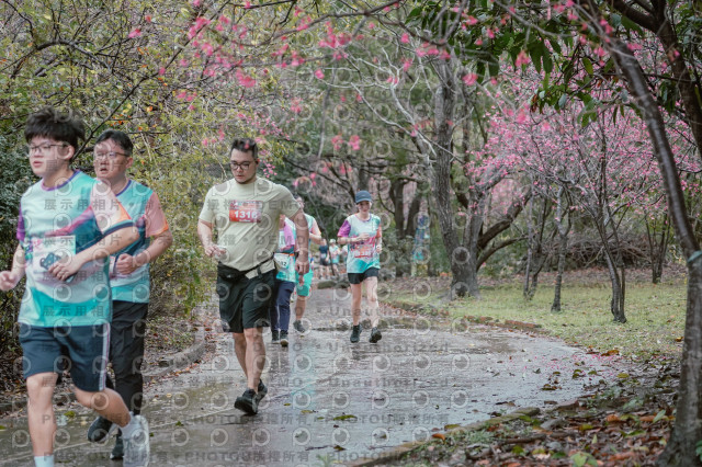 2026左岸竹東櫻花馬拉松Zhudong Sakura Marathon