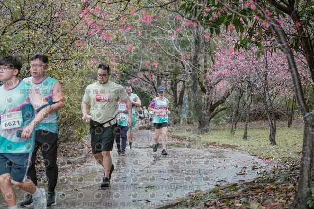 2026左岸竹東櫻花馬拉松Zhudong Sakura Marathon