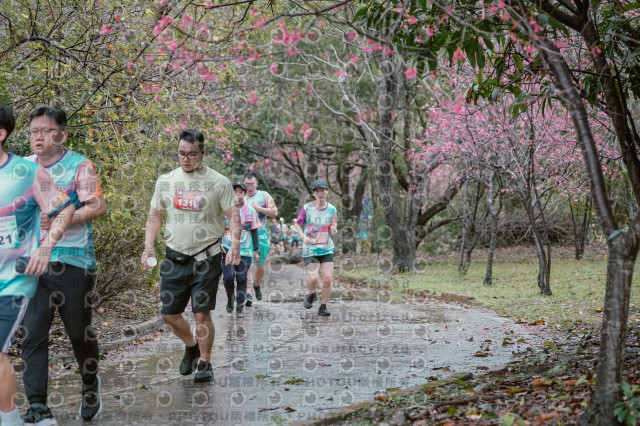 2026左岸竹東櫻花馬拉松Zhudong Sakura Marathon