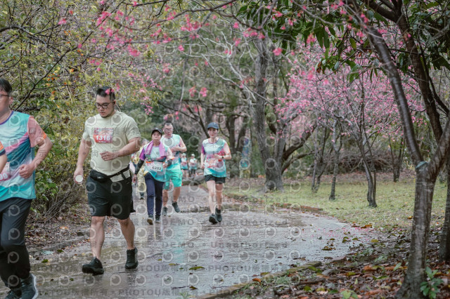 2026左岸竹東櫻花馬拉松Zhudong Sakura Marathon