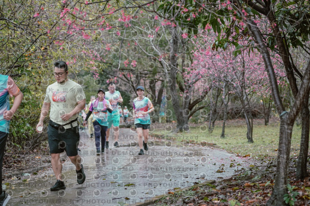 2026左岸竹東櫻花馬拉松Zhudong Sakura Marathon