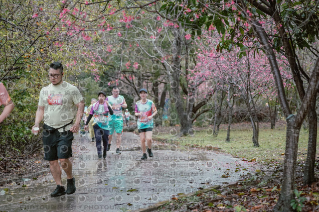 2026左岸竹東櫻花馬拉松Zhudong Sakura Marathon